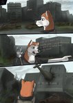 Rating: s
ID: 5310853
Date: 2025-01-16 04:28:12 -0500
Status: active
Score: 22
abandoned abandoned_building abandoned_city aircraft alaskan_malamute alex_last_resource anthro brown_eyes canid canine canis car city domestic_dog duo fur green_eyes grey_body grey_fur helicopter hi_res leo_last_resource male mammal nordic_sled_dog post-apocalyptic spitz street vehicle wolf wolfyalex96 post #5310853