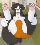 post #5537290