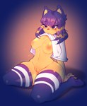 animal_crossing ankha_(animal_crossing) anthro breasts clothed clothing clothing_lift felid female genitals hands_behind_back hi_res legwear mammal nintendo nipples pink_kutal23 pussy shirt shirt_lift solo stockings thick_thighs thigh_highs topwear wide_hips