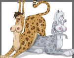 absurd_res areola breasts duo eyes_closed felid female female/female hand_lick hi_res jaguar mammal nipples nude open_mouth pantherine pink_areola pink_nipples reedfox15 snow_leopard stretching taur tongue tongue_out yawn