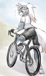 anthro armor bicycle bottomwear butt canid canine canis clothing cycling female footwear headgear helmet hi_res looking_back mammal okami_bark ookamiwaho outside shoes shorts solo spandex spandex_shorts tight_bottomwear tight_clothing tight_shorts vehicle wolf