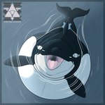 post #5444011