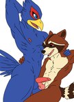 anthro avian duo falco_lombardi grabbing guardians_of_the_galaxy hi_res male male/male mammal marvel nintendo overunderyou procyonid raccoon rocket_raccoon sex star_fox