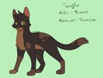 4:3 ambiguous_gender barkfur_(artist) brown_body brown_fur domestic_cat english_text fan_character felid feline felis feral fur green_background green_eyes hi_res male_(lore) mammal model_sheet simple_background solo text warriors_(book_series)