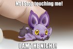 ambiguous/ambiguous ambiguous_gender bat_wings dialogue disembodied_hand duo english_text feral fingers generation_6_pokemon human humor image_macro low_res lying mammal membrane_(anatomy) membranous_wings meme nintendo noibat pokemon pokemon_(species) redraw solo_focus stop_touching_me_i_am_the_night strobotic stroking_(disambiguation) text wings