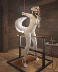 Rating: e
ID: 4391055
Date: 2023-11-03 00:16:19 -0400
Status: active
Score: 137
3d_(artwork) 4:5 anthro arctic_fox arms_tied ball_gag bdsm bondage bound breasts canid canine conditional_dnp digital_media_(artwork) discomfort electrostimulation female fox front_view fully_bound gag hi_res joey_(sentharn) kinktober legs_tied mammal medium_breasts nipple_clamp nipple_clamp_pull predicament_bondage sentharn slim slim_anthro slim_female snout solo standing story story_in_description strappado three-quarter_view tiptoes true_fox wishbone_mouth post #4391055
