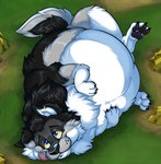 absurd_res awkore belly feral heavy hi_res looking_pleasured male overweight ruster solo