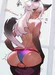 animal_humanoid ass_too_fat backsack balls canid canid_humanoid canine canine_humanoid clothed clothing crossdressing femboy genitals hair hi_res humanoid looking_back male mammal mammal_humanoid moksamasara nipples panties solo topless underwear white_hair