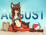 3_toes 4_fingers anthro august_(month) bad_guy_cafe beach bikini blue_eyes brown_body brown_fur brown_hair canid canine clothing feet female fingers fox fur hair mammal mollie_(j'may) orange_body orange_fur sand seaside solo swimwear toes two-piece_swimsuit ziegelzeig