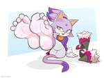 5_toes anthro barefoot blaze_the_cat bodily_fluids clothed clothing domestic_cat feet felid feline felis female foot_focus footwear hi_res mammal mrvalentim purple_body sega shoes shoes_removed soles solo sonic_the_hedgehog_(series) sweat sweaty_feet teasing teasing_feet toes