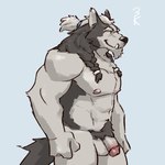 1:1 3000vnd anthro balls braided_hair cadgan canid canine canis circumcised devil's_gambit fangs fur genitals grey_body grey_fur hair hi_res humanoid_genitalia humanoid_penis male mammal mane multicolored_body multicolored_fur muscular muscular_male nipples penis pubes solo teeth tuft two_tone_body two_tone_fur wolf