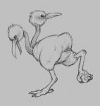 2017 2_heads animal_genitalia avian avian_butt bird butt cloaca doduo female feral generation_1_pokemon genitals horizontal_cloaca looking_at_viewer looking_back micro_calves micro_legs micro_thighs monochrome multi_head multifur nintendo open_mouth pokemon pokemon_(species) simple_background solo thin_calves thin_legs thin_thighs white_background yaroul