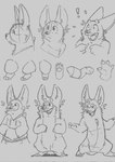 2023 4_fingers anthro big_ears biped canid canine canis clothing digitigrade domestic_dog ears_up exclamation_point expression_sheet featureless_crotch fingers front_view hand_in_hood_pocket hand_in_pocket happy herding_dog hi_res hoodie male mammal model_sheet monochrome multiple_angles neutral_expression nude open_mouth pastoral_dog pawpads pembroke_welsh_corgi pockets shadow side_view sketch smile solo stippling surprised_expression swirl_(thezestiestbone) thezestiestbone topwear welsh_corgi