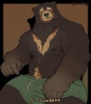 2023 anthro barazoku bear belly biceps body_hair bottomwear brown_body brown_fur clothed clothing digital_media_(artwork) eyebrows fur happy_trail hi_res male mammal musclegut muscular muscular_anthro muscular_male nipples shorts solo sun_bear tan_body tan_fur thick_thighs timdoodles topless ursine werecreature wereursid