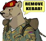 alpha_channel animated anthro backpack bear beret brown_eyes clothed clothing hat headgear headwear low_res mammal military_uniform remove_kebab serbia short_playtime simple_background solo srpska transparent_background uniform unknown_artist