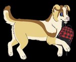 Rating: s
ID: 4485221
Date: 2023-12-21 04:03:25 -0500
Status: active
Score: 3
2014 aliasing alpha_channel ambiguous_gender bird_dog blue_(sebdoggo) blue_eyes brown_body brown_fur button_ears canid canine canis chow_chow digital_drawing_(artwork) digital_media_(artwork) digitigrade domestic_dog eyebrows feral flat_colors floppy_ears full-length_portrait fur golden_retriever holding_backpack holding_in_mouth hunting_dog mammal microsoft_paint_(artwork) mixed_breed paws pink_nose pink_tongue plaid_backpack portrait raised_tail retriever sebdoggo simple_background snout solo spitz tail tan_body teeth tongue trans_(lore) trans_man_(lore) transparent_background white_body white_fur yellow_body yellow_fur post #4485221