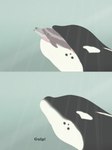 2023 ambiguous_gender black_body body_in_mouth bottlenose_dolphin cetacean comic countershading dolphin dosfin duo english_text eyes_closed female_(lore) feral feral_pred feral_prey fully_inside grey_body grey_eyes gulp_(sound_effect) hi_res larger_pred licking licking_another light light_beam male_(lore) mammal marine neck_bulge oceanic_dolphin onomatopoeia oral_vore orca partially_inside size_difference smaller_prey soft_vore sound_effects spots sunbeam sunlight text tongue toothed_whale underwater virp3 vore water white_spots