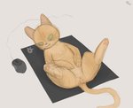Rating: e
ID: 2187191
Date: 2020-03-21 08:10:59 -0400
Status: active
Score: 53
2020 after_sex alex_(rdroid) animal_genitalia animal_pussy anus bodily_fluids computer_mouse conditional_dnp cum cum_in_ass cum_in_pussy cum_inside cum_on_belly cum_on_body digital_media_(artwork) domestic_cat felid feline feline_genitalia feline_pussy felis female feral fur genital_fluids genitals green_eyes hi_res lying mammal mousepad on_back orange_body orange_fur pussy rdroid signature simple_background sketch smile solo spread_legs spreading steelseries post #2187191