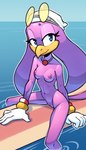 Rating: e
ID: 5597326
Date: 2025-05-25 12:35:03 -0400
Status: active
Score: 60
2025 anthro areola avian bird blue_eyes breasts clothing day detailed_background eyewear eyewear_on_head feathers female genitals gloves handwear hat headgear headwear hi_res hirundinid looking_at_viewer medium_breasts mostly_nude navel nipples non-mammal_breasts non-mammal_navel non-mammal_nipples nude oscine outside partially_submerged passerine purple_body purple_feathers pussy rogone2 sea sega sitting smile smiling_at_viewer solo sonic_riders sonic_the_hedgehog_(series) sunglasses sunglasses_on_head surfboard swallow_(bird) water wave_the_swallow wet post #5597326