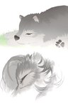 aman_(weibo) anthro bodily_fluids canid canine canis comic eyes_closed feral fluffy fur grass grey_body grey_fur hi_res lying mammal pawpads paws plant simple_background solo tears white_background wolf