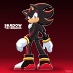 1:1 anthro background_shot clothing eulipotyphlan footwear gloves handwear hedgehog hi_res inhibitor_ring male mammal sega shadow_the_hedgehog shoes solo sonic_the_hedgehog_(series) travis_the_dragon