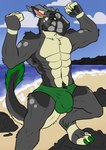 4_toes 5_fingers absurd_res acemoonkid anthro balls_outline beach biped bulge cinereous_(character) claws clothing cloud crotch_tuft detailed_bulge dewclaw digitigrade facial_markings feet felkin fingers flexing genital_outline green_claws green_eyes head_markings hi_res horn male male_anthro markings muscular muscular_anthro muscular_male outside penis_outline public rock solo speedo standing swimwear tail toes tuft water