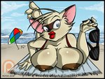 Rating: q
ID: 5649674
Date: 2025-06-17 20:03:16 -0400
Status: active
Score: 4
2016 anthro areola beach beach_towel beach_umbrella big_breasts black_border blue_eyes border breasts brown_areola brown_body brown_fur clothing cloud digital_media_(artwork) domestic_cat dutch_(artist) eyewear felid feline felis female fur lips mammal nipples parasol patreon patreon_logo red_lips seaside siamese simone_(dutch) sky solo sunglasses swimwear tan_body tan_fur towel water post #5649674