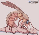 Rating: e
ID: 3231940
Date: 2022-03-19 16:41:55 -0400
Status: active
Score: 564
2022 antennae_(anatomy) arthropod arthropod_abdomen arthropod_abdomen_genitalia arthropod_abdomen_penetration arthropod_abdomen_vulva bestiality blattodea bodily_fluids body_hair brown_body clenched_teeth cockroach compound_eyes cowgirl_position cum cum_in_vagina cum_inside dated discord_(app) dominant dominant_female duo eyes_closed feelers female female_on_human female_on_top feral feral_penetrated from_front_position genital_fluids genitals grey_background heart_eyes heart_symbol hi_res holding_leg human human_on_feral human_penetrating human_penetrating_feral insect insectophilia interspecies leg_hair lying male male/female male_on_feral mammal multi_limb on_back on_bottom on_top open_mouth orange_body penetration penile penile_penetration pink_body pink_skin questionable_consent red_body roachelle saliva sex shadow signature simple_background tan_body teardrop tears teeth text url vaginal vaginal_penetration vulva watermark wings post #3231940