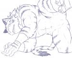 anthro big_muscles blush bodily_fluids embarrassed featureless_crotch felid male mammal monochrome mostly_nude muscular muscular_anthro muscular_male pantherine raised_leg sharp_teeth simple_background solo sweat teeth tiger urakata5x white_background