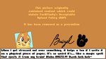 16:9 2023 aliasing ambiguous_gender anthro argon_vile autograph black_nose buizel character_signature dialogue digital_media_(artwork) english_text eyebrows fan_character footprint fur generation_4_pokemon headshot_portrait mammal markings monster_mind mustelid nintendo open_mouth orange_background orange_body orange_fur pawprint pokemon pokemon_(species) portrait simple_background solo tan_body tan_fur text text_box upload_policy_2.7 whisker_markings widescreen