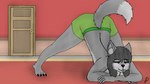 16:9 ass_up blush bottomwear canid canine canis clothing fur green_bottomwear green_clothing green_pants green_tongue grey_body grey_fur hair jack-o'_pose male mammal mansion pants pose pumopumoshi pumopumoshi_(character) pumoshi_diary solo tongue widescreen wolf yoga