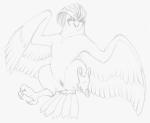 2015 animal_genitalia anus avian avian_feet beak bird butt claws feathered_wings feathers feet female feral generation_1_pokemon genitals graphite_(artwork) looking_at_viewer monochrome nintendo nude pidgeotto pokemon pokemon_(species) pussy simple_background sketch solo talons toes traditional_media_(artwork) wings yaroul