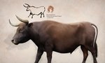 animal_genitalia aurochs bovid bovine cave_painting english_text feral fur genitals hi_res horn julio_lacerda male mammal quadruped realistic recently_extinct_species scientific_name sheath solo tail tail_tuft text tuft