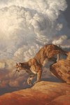 2015 ambiguous_gender climbing cloud cougar day felid feline feral fur greg_beecham hi_res linen mammal multicolored_body multicolored_fur nature nature_background oil_on_canvas oil_painting_(artwork) outside painting_(artwork) photorealism realistic realistic_shading rock sky skyscape solo tan_body tan_fur traditional_media_(artwork) two_tone_body two_tone_fur white_body white_fur