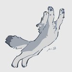 1:1 2024 4_toes absurd_res ambiguous_gender canid canine canis countershade_fur countershading feet feral fur grey_body grey_fur hi_res jumping mammal quadruped rinrinwolf simple_background solo stretching toes white_background white_body white_countershading white_fur wolf