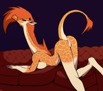 absurd_res all_fours anthro anus ass_up athletic athletic_anthro athletic_female big_breasts breast_squish breasts butt female fur furniture genitals giraffe giraffid hair hi_res horn long_legs long_neck long_tail looking_at_viewer looking_back mammal mane mane_hair maris_(xzorgothoth) mohawk narrowed_eyes nipples nude orange_body orange_fur orange_hair orange_mane ossicone pose presenting presenting_anus presenting_hindquarters presenting_pussy pussy rear_view smile smirk sofa solo squish striped_body stripes tail tail_anus tail_tuft tall tuft very_long_neck white_stripes xzorgothoth yellow_eyes