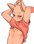 anthro blush burgerpants clothed clothing clothing_lift domestic_cat felid feline felis fur hi_res kokomo_niwa male mammal nipples orange_body orange_fur shirt shirt_lift solo topwear undertale undertale_(series)