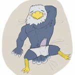 1:1 accipitrid accipitriform animal_crossing anthro apollo_(animal_crossing) armpit_hair avian bald_eagle bird blush bodily_fluids body_hair bulge circumcised clothed clothing eagle erection feathers genitals hands_behind_head hi_res lucusfox male mature_male nintendo nipples penis pubes sea_eagle solo sweat tired topwear underwear