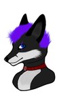 9:16 anonymous_floof anthro black_body black_fur black_nose blue_eyes canid canine canis cheek_tuft collar digital_media_(artwork) eye_scar facial_markings facial_scar facial_tuft first_art_piece fox fur gimp_(artwork) grey_body grey_fur hair head_markings headshot_portrait hi_res hybrid male mammal markings multicolored_body multicolored_fur portrait purple_hair purple_scar red_collar red_fox scar shaded simple_background simple_coloring simple_eyes simple_face simple_shading solo sylvarin_(anonymous_floof) true_fox tuft two_tone_body two_tone_fur white_body white_fur wolf