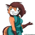 1:1 2016 animatedjames anthro bottomwear brown_body brown_fur brown_hair canid canine clothing female fluffy fluffy_tail fox fur hair macy mammal multicolored_body multicolored_fur orange_body orange_fur shirt shorts smile solo tail teeth topwear white_body white_fur