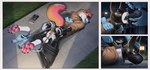 Rating: e
ID: 5541695
Date: 2025-05-01 12:01:22 -0400
Status: active
Score: 155
100racs 4_toes ambiguous_gender anthro anus backsack balls bdsm bodysuit bottomwear bottomwear_down bound canid canine canis chain chained chastity_cage chastity_device clothed clothing cock_gag collar cropped_hoodie cuff_(restraint) detailed_background digital_media_(artwork) disembodied_hand dominant dominant_ambiguous ear_piercing ear_ring electronics feet forced fur gag gagged genitals group hand_on_back hands_behind_back headgear headwear hi_res hogtied hood kidnapping latex latex_bodysuit latex_clothing latex_headwear latex_hood latex_skinsuit lying male male/ambiguous mammal manhandling muzzle_(object) muzzled on_front pants pants_down partially_clothed pawpads paws perineum phone piercing restraints ring_piercing shackles shorts skinsuit submissive submissive_anthro submissive_male tail tight_clothing toes wolf post #5541695