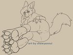 anthro anus breasts canid canine chewyennui claws eyewear female fennec_fox fox genitals glasses hi_res jax_(xanedis) line_art mammal nude pawpads paws pussy sketch solo spreading true_fox