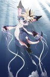 Rating: s
ID: 5483068
Date: 2025-04-05 00:31:39 -0400
Status: active
Score: 5
3_fingers 3_toes ambiguous_gender anthro barely_visible_pawpads belly big_butt big_ears black_ear_tips black_hair black_tail_tip blonde_hair blue_body blue_eyes blue_fur blue_tail blush bubble butt claws detailed dipstick_ears dipstick_tail dragon ear_markings eastern_dragon eyebrow_through_hair eyebrows featureless_crotch feet fingers fur hair horn inner_ear_fluff kemono light light_beam magic markings multicolored_ears mythological_creature mythological_scalie mythology navel non-mammal_navel pink_inner_ear regulus_(souryudo) scalie solo souryudo sunbeam sunlight tail tail_markings thick_thighs toes translucent translucent_hair tuft underwater water white_belly white_body white_claws white_fur white_inner_ear_fluff wide_hips post #5483068