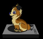 Rating: s
ID: 4247755
Date: 2023-08-22 04:24:27 -0400
Status: active
Score: 57
2012 aliasing alpha_channel ambiguous_gender animated black_body black_fur blue_(sebdoggo) blue_eyes blue_nose blue_tongue brown_body brown_fur canid canine canis chibi daww digital_media_(artwork) digitigrade domestic_dog feral flat_colors fur grey_sclera head_tuft herding_dog loop low_res mammal microsoft_paint_(artwork) mixed_breed one_ear_up open_mouth open_smile pastoral_dog paws record_player sebdoggo short_playtime simple_background sitting smile snout solo spinning tail tan_body tan_fur thumbnail tongue trans_(lore) trans_man_(lore) transparent_background tuft turntable_(record_player) welsh_corgi post #4247755
