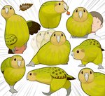 Rating: s
ID: 2606493
Date: 2021-02-08 14:53:47 -0500
Status: active
Score: 56
ambiguous_gender avian beak bird black_hair brown_body brown_feathers carrying_another digital_media_(artwork) duo feathers feral food fruit green_body green_feathers hair hiyo_(hiyoratory) human kakapo looking_back male mammal multicolored_body multicolored_feathers on_head on_shoulder outline parrot plant radiating_background smile solo_focus strigopoid tan_body tan_feathers walking white_beak post #2606493