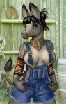 2023 anthro areola asinus black_hair breasts caribou_(artist) clothed clothing digital_media_(artwork) donkey equid equine eyebrows eyelashes female hair mammal nipples overalls overalls_only shortalls smile tail