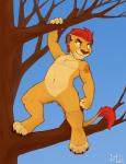 2020 4_fingers 4_toes adolescent anthro anthrofied biped black_claws black_eyebrows branch brown_eyes brown_nose casual_nudity claws disney eye_scar eyebrows facial_scar featureless_chest featureless_crotch feet felid fingers fur hair hi_res iztli kion_(the_lion_guard) lion looking_aside looking_away male mammal navel nude on_branch outside pantherine paws plant red_body red_fur red_hair scar sky smile solo standing tail tail_tuft tan_body tan_fur tan_tail tattoo the_lion_guard the_lion_king toe_claws toes tree tuft yellow_body yellow_fur yellow_sclera young young_anthro