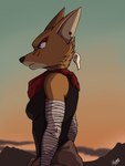 2024 3:4 anthro arm_wraps black_nose breasts brown_body brown_fur canid canine canis clothed clothed_anthro clothed_female clothing coyote female fur hi_res huandoodles kerchief laika_(laika_aged_through_blood) laika_aged_through_blood mammal signature solo wraps