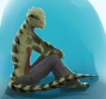 2016 agamid anthro aquaticas australian_water_dragon barefoot bent_legs biped black_body black_claws black_eyes black_markings black_scales black_tail blue_background bottomwear brown_body brown_countershading brown_scales claws clothed clothing countershade_torso countershading feet green_body green_face green_scales green_tail grey_bottomwear grey_clothing grey_pants hi_res lizard looking_aside looking_at_viewer male markings monotone_bottomwear monotone_clothing monotone_pants multicolored_body multicolored_scales no_pupils orange_sclera pajamas pants plantigrade reptile scales scalie side_view signature simple_background sitting solo striped_markings striped_tail stripes tail tail_markings tapering_tail toe_claws topless water_dragon_(agamid) year