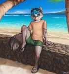 anthro artist_logo artist_name beach beach_background black_clothing black_footwear black_sandals blue_eyes blue_hair bottomwear bracelet clear_sky clothing cobblestone eyewear eyewear_on_head facial_markings fluffy fluffy_tail foot_on_ground foot_on_wall footwear fur fur_markings green_bottomwear green_clothing green_shorts grey_body grey_fur hair hand_on_knee hand_on_leg hand_on_wall head_markings hi_res inner_ear_fluff islands jewelry logo looking_at_viewer male mammal markings mask_(marking) neckline neko-me palm_tree plant procyonid raccoon raccoon_ears raccoon_markings raccoon_tail raised_leg sand sandals sea shirt shoes shoreline short_sleeved_shirt short_sleeves shorts signature sitting sitting_on_wall sky smile solo stone_wall sunglasses sunglasses_on_head t-shirt tail tan_clothing tan_shirt tan_t-shirt tan_topwear theo_the_raccoon topwear tree tuft wall_(structure) water wave wearing_sandals